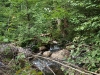 Crooked Lake outlet 